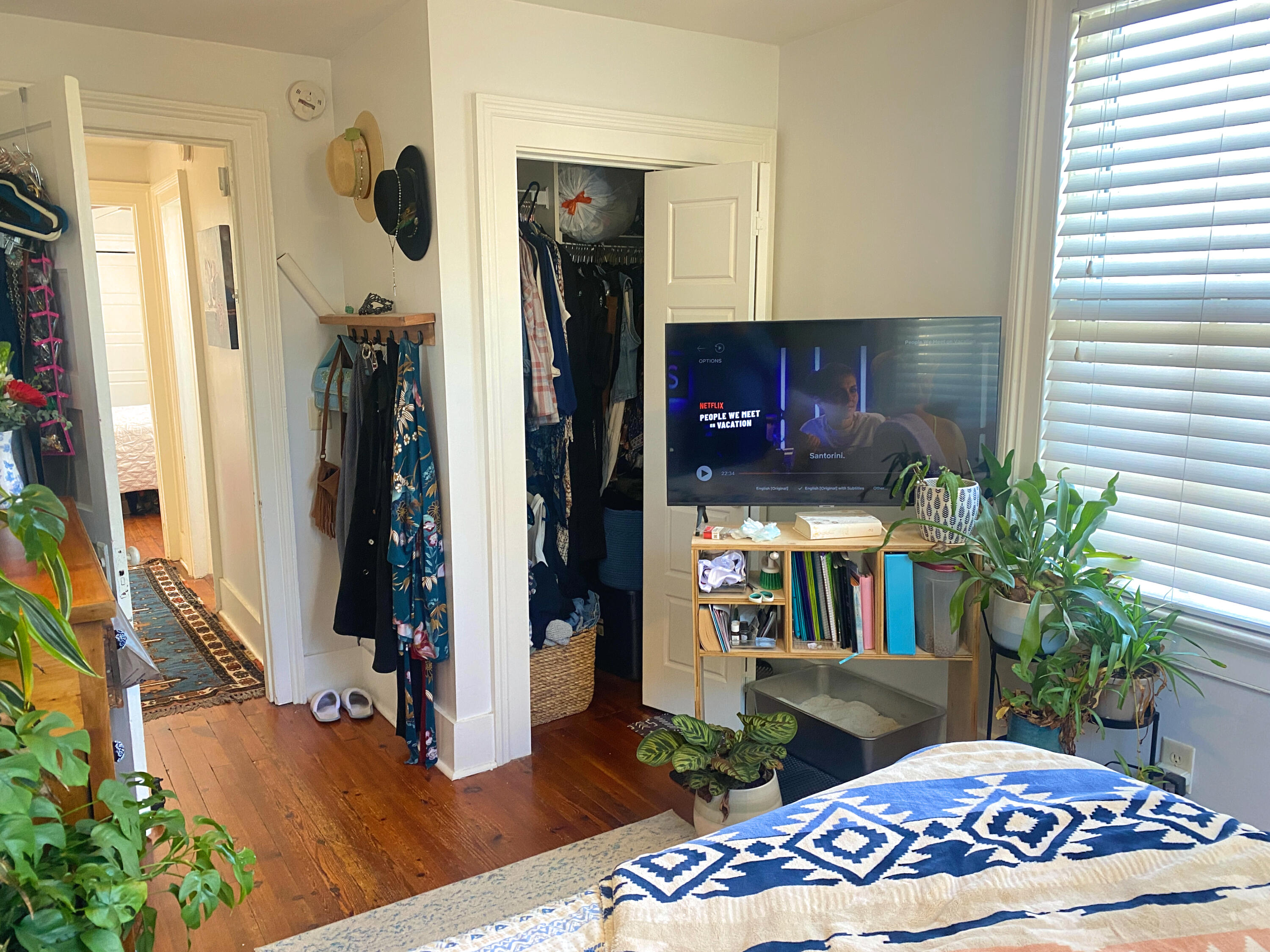 9 Gadsden Street Charleston, SC 29401 - Photo 36 of 60 9 Gadsden St (30)