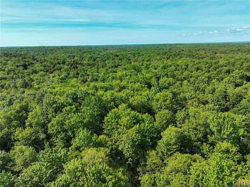 2 Tamblin Ridge Trail Bernhards Bay, NY 13028 - Photo 1 of 12