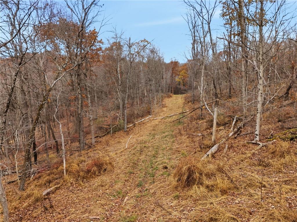 0 Country Club Lane Pittsburgh, PA 15215 - Photo 15 of 23 a view of a yard with trees