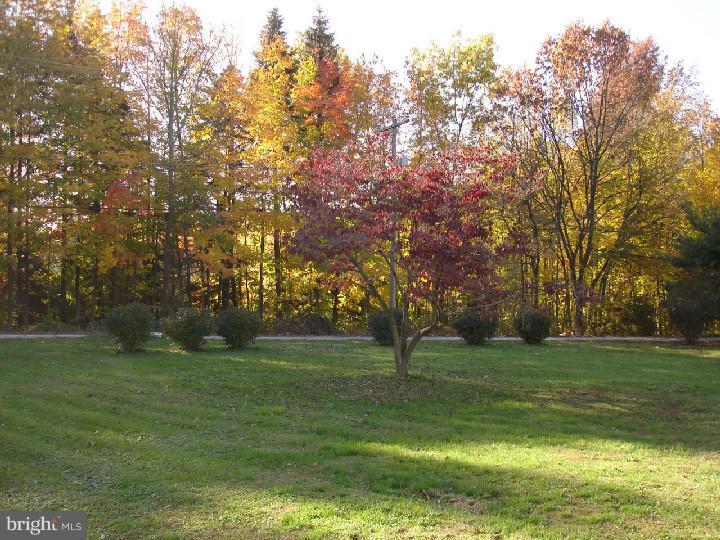 280 County Line Road Wayne, PA 19087 - Photo 5 of 16 View from Front Door