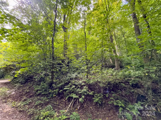 $89,500 | Lot 59 Black Rock Road, Unit 59, Cherokee, NC 28719
