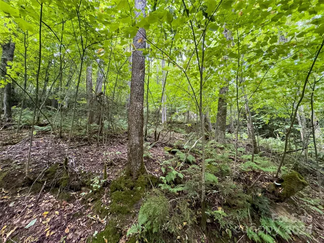 $89,500 | Lot 59 Black Rock Road, Unit 59, Cherokee, NC 28719