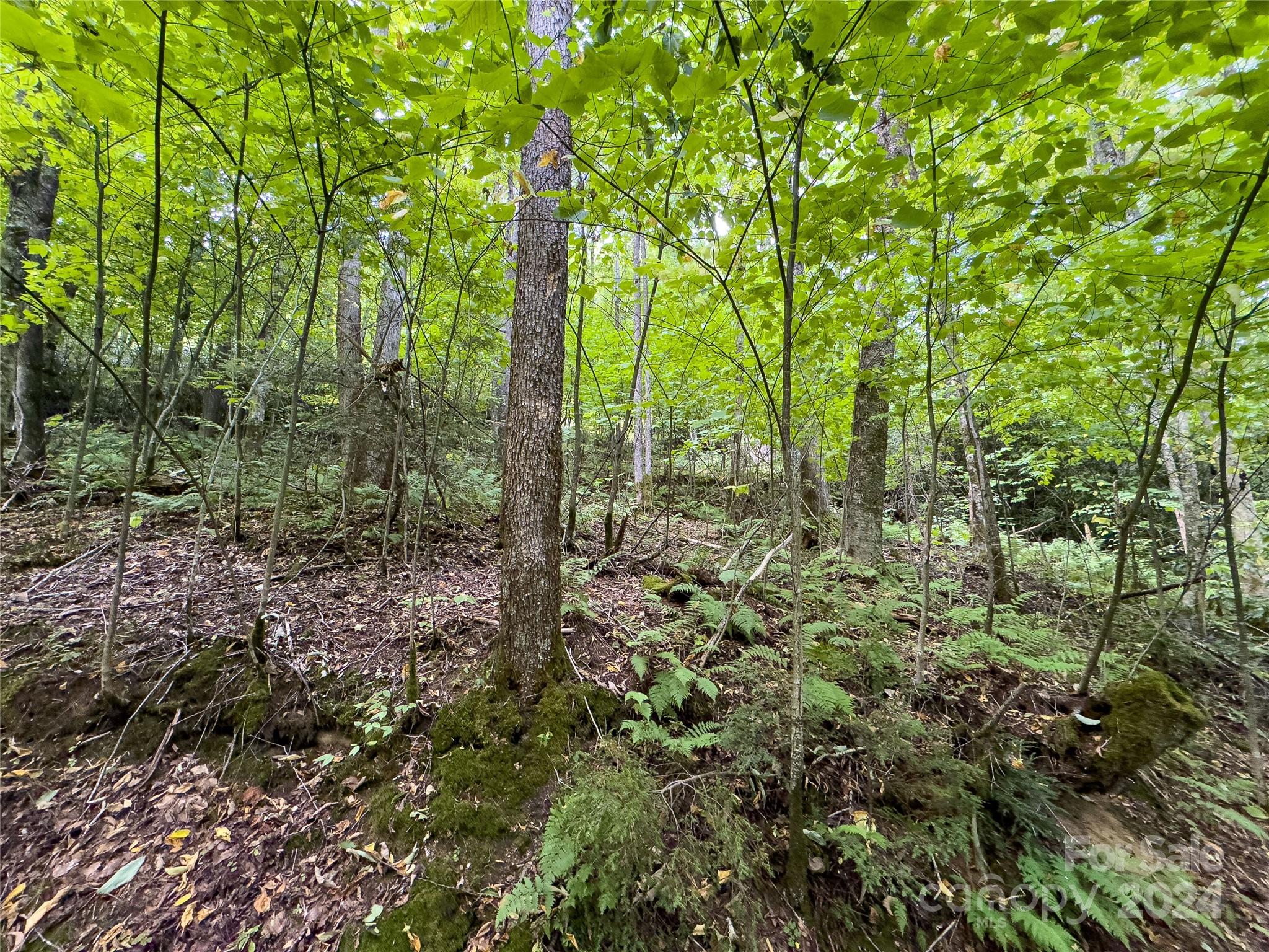 Lot 59 Black Rock Road, Unit 59 Cherokee, NC 28719 - Photo 12 of 32