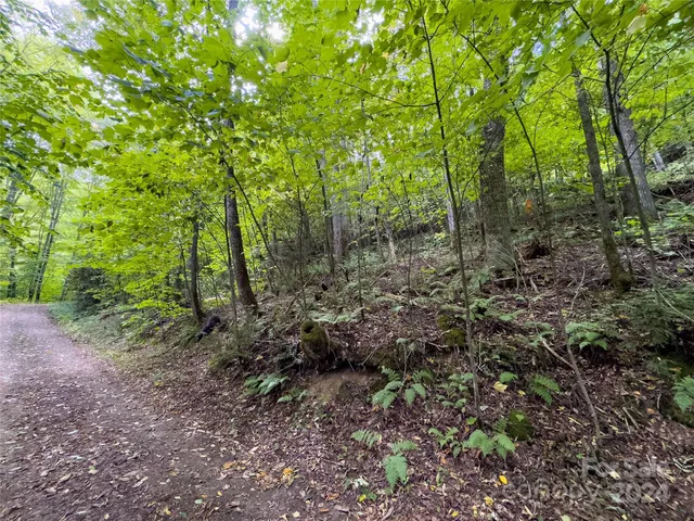 $89,500 | Lot 59 Black Rock Road, Unit 59, Cherokee, NC 28719