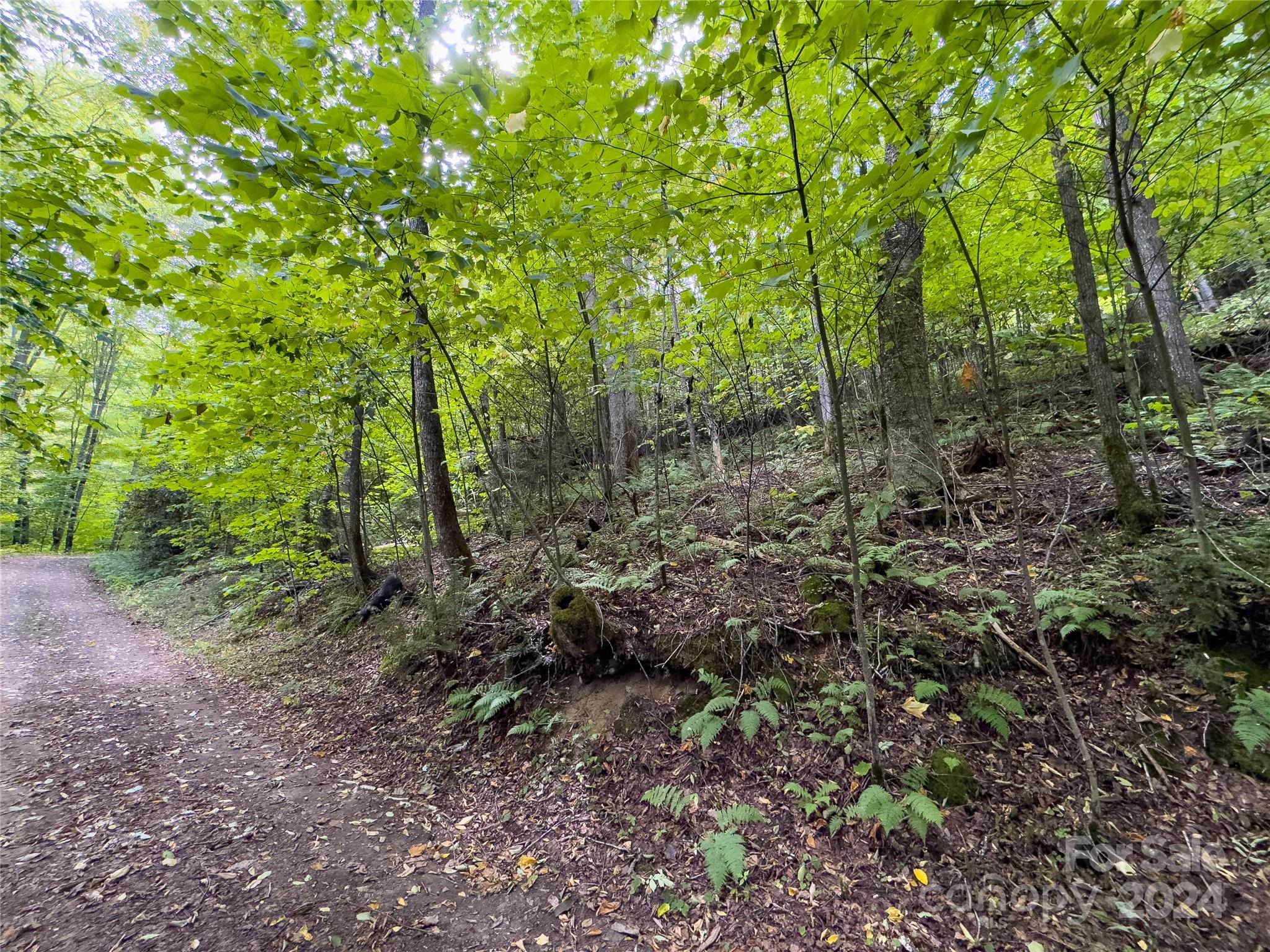 Lot 59 Black Rock Road, Unit 59 Cherokee, NC 28719 - Photo 14 of 32