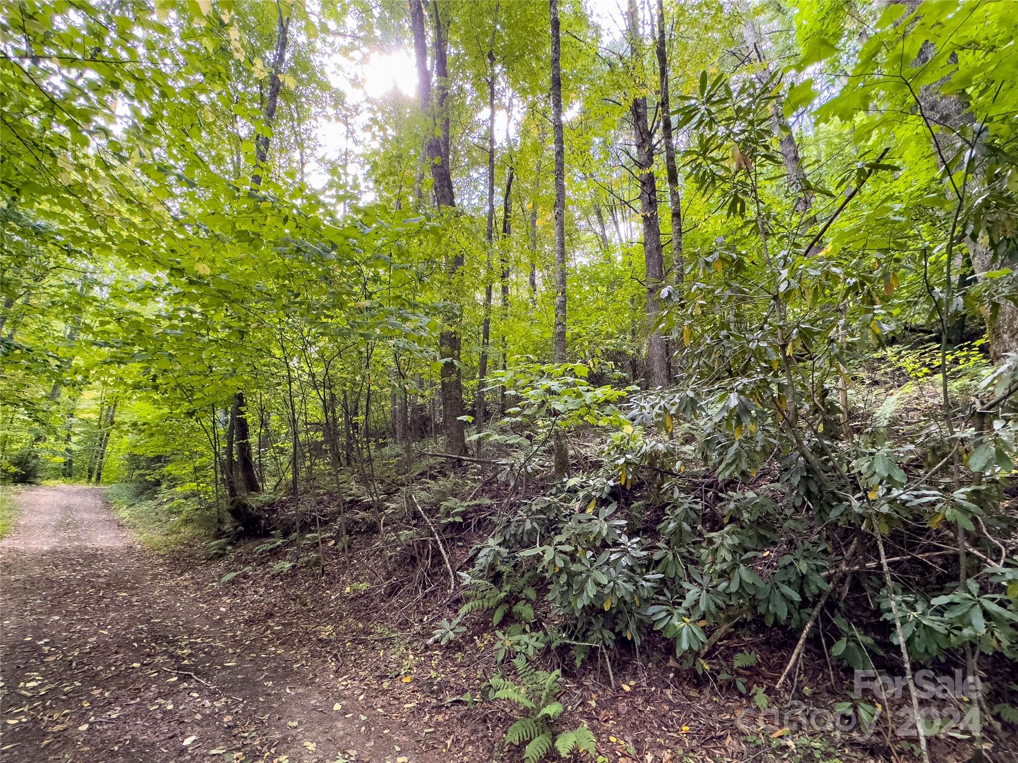 Lot 59 Black Rock Road, Unit 59 Cherokee, NC 28719 - Photo 15 of 32