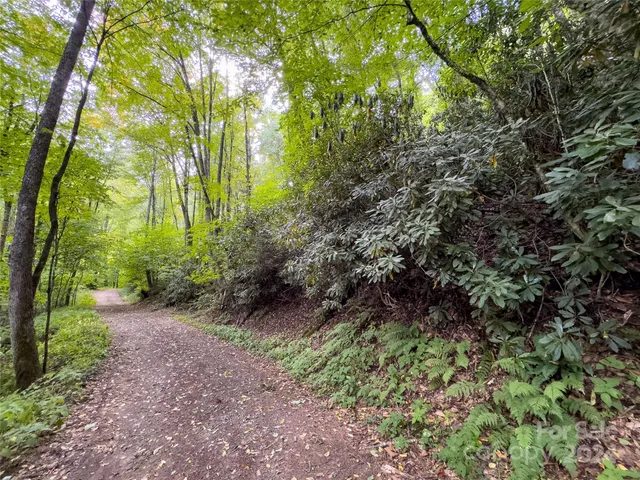 $89,500 | Lot 59 Black Rock Road, Unit 59, Cherokee, NC 28719