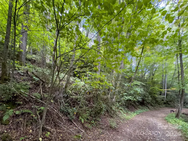 $89,500 | Lot 59 Black Rock Road, Unit 59, Cherokee, NC 28719