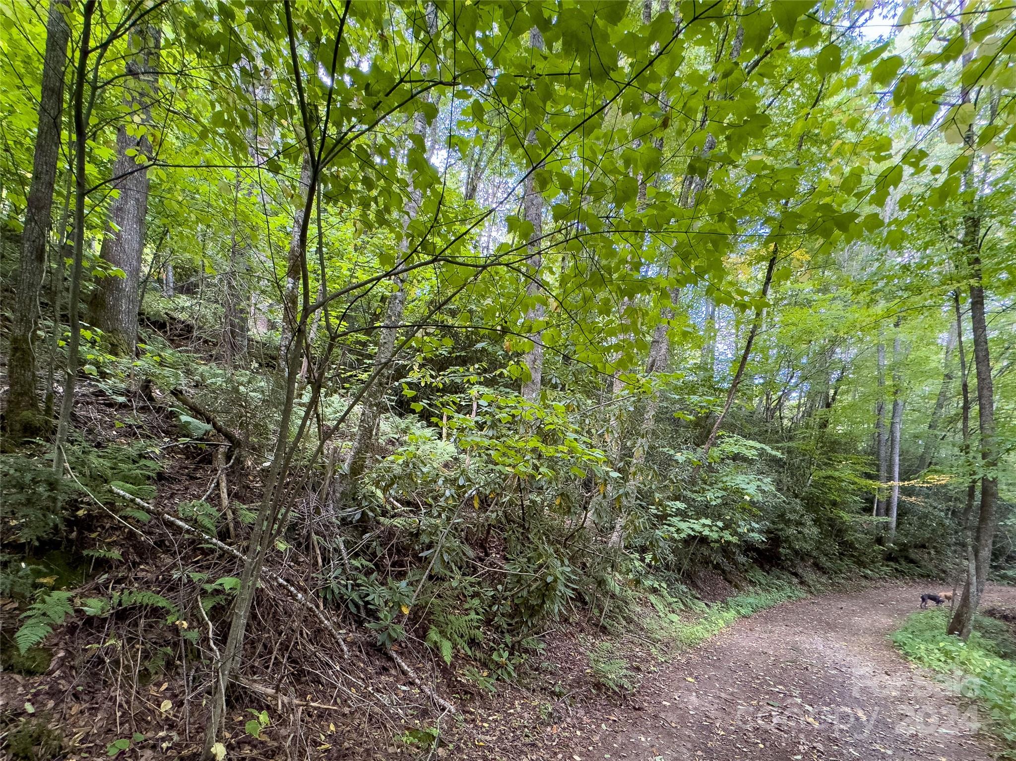 Lot 59 Black Rock Road, Unit 59 Cherokee, NC 28719 - Photo 17 of 32