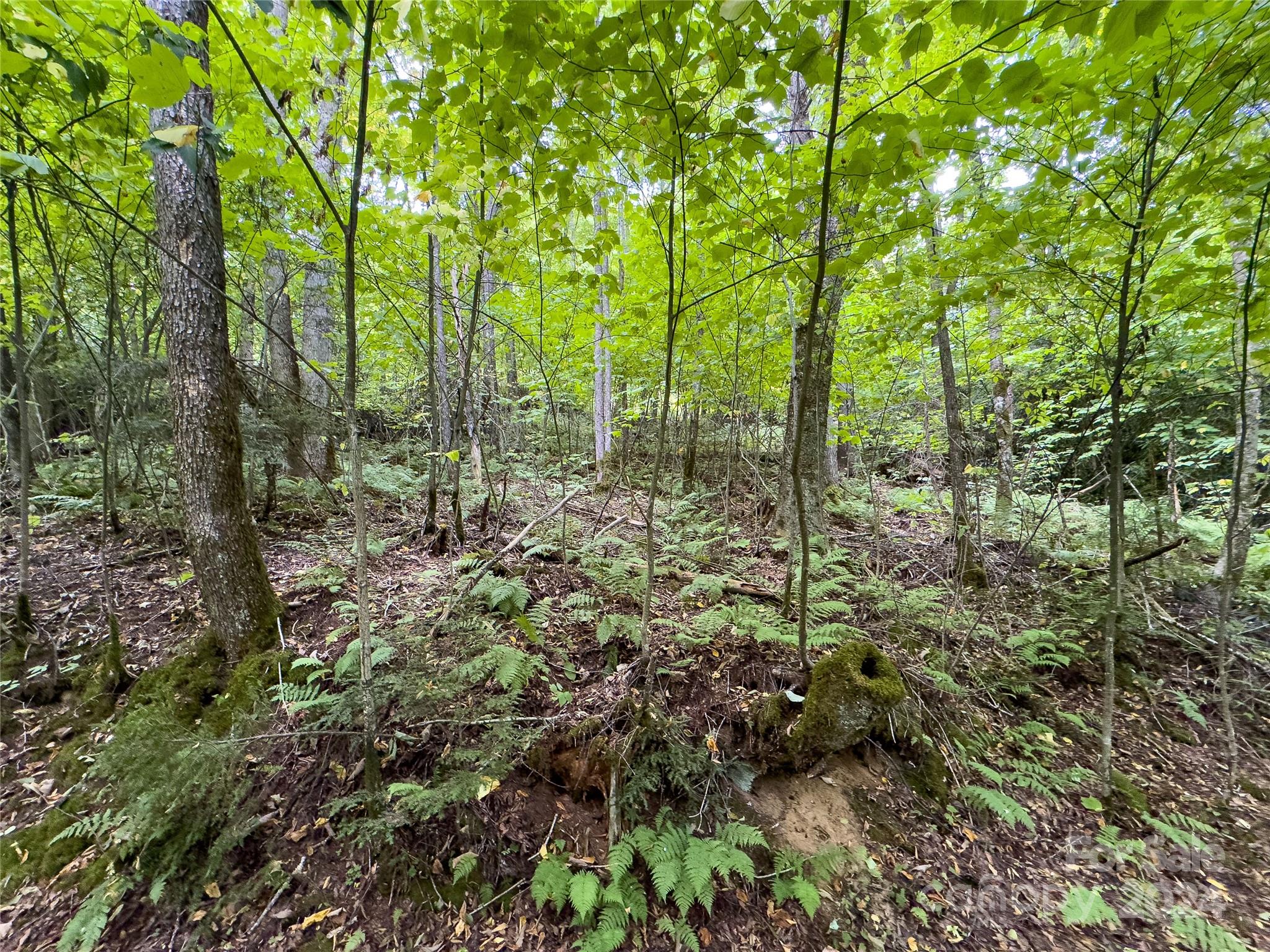 Lot 59 Black Rock Road, Unit 59 Cherokee, NC 28719 - Photo 18 of 32