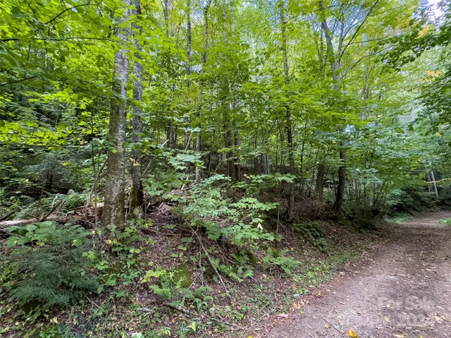 $89,500 | Lot 59 Black Rock Road, Unit 59, Cherokee, NC 28719