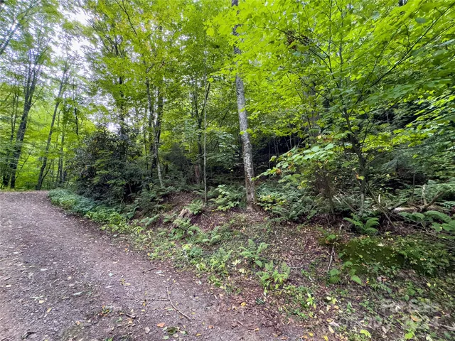 $89,500 | Lot 59 Black Rock Road, Unit 59, Cherokee, NC 28719