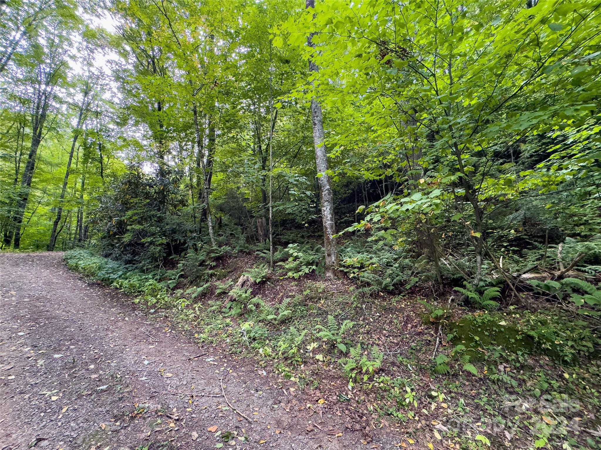 Lot 59 Black Rock Road, Unit 59 Cherokee, NC 28719 - Photo 20 of 32