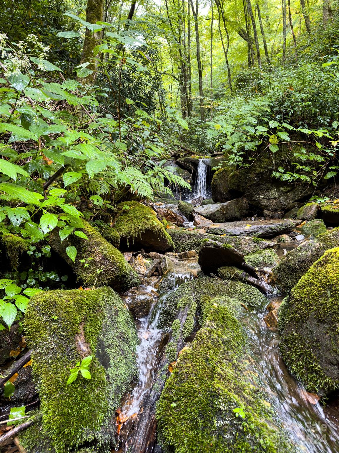 Lot 59 Black Rock Road, Unit 59 Cherokee, NC 28719 - Photo 2 of 32