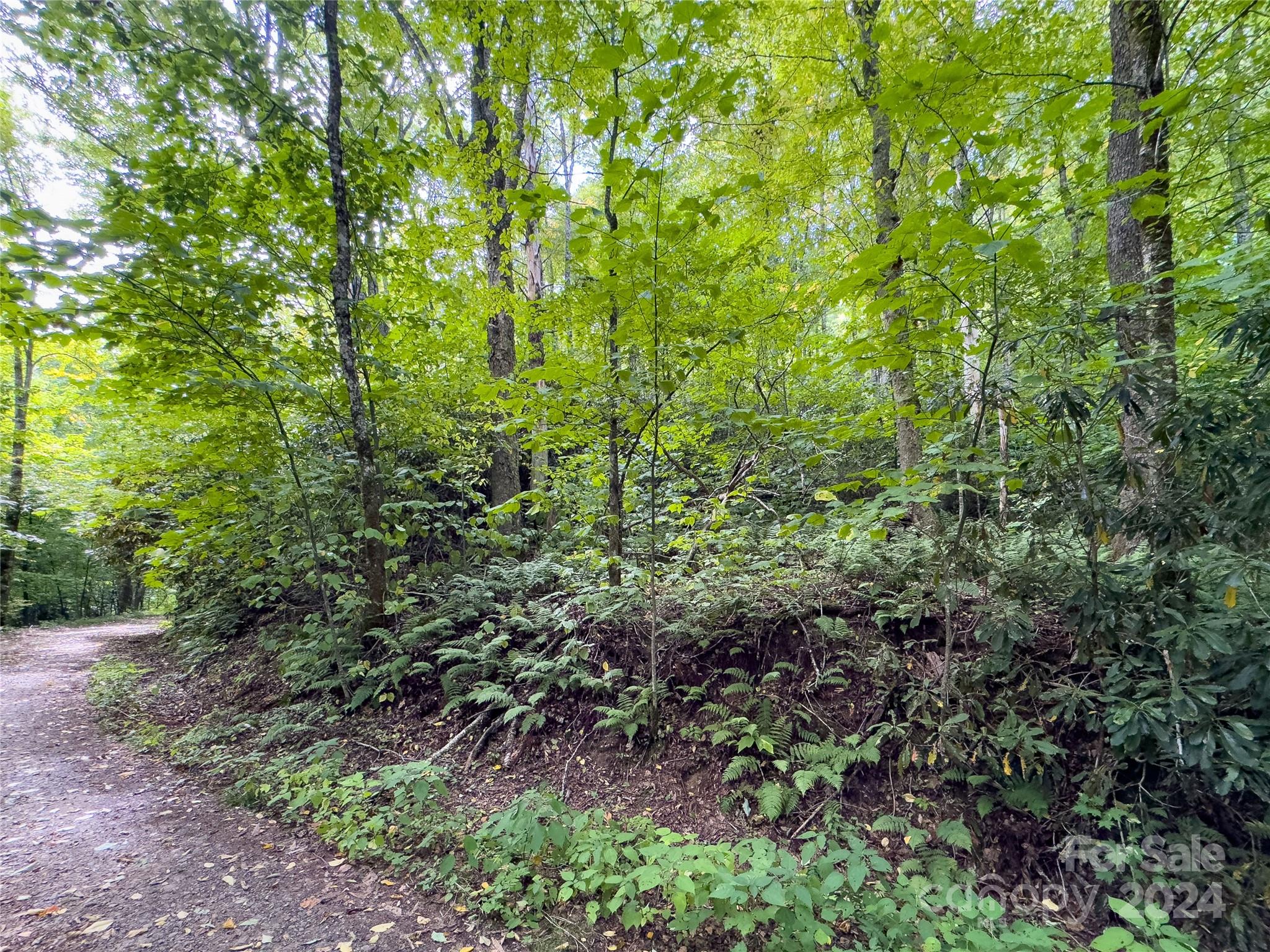 Lot 59 Black Rock Road, Unit 59 Cherokee, NC 28719 - Photo 21 of 32
