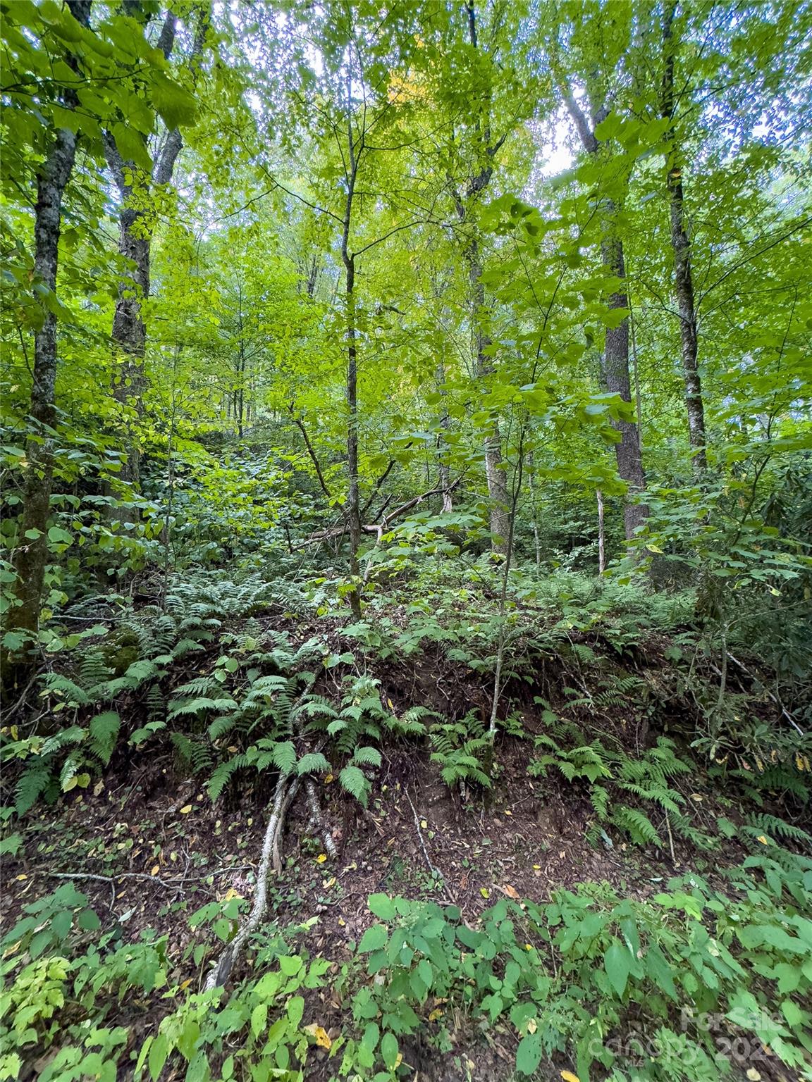 Lot 59 Black Rock Road, Unit 59 Cherokee, NC 28719 - Photo 22 of 32