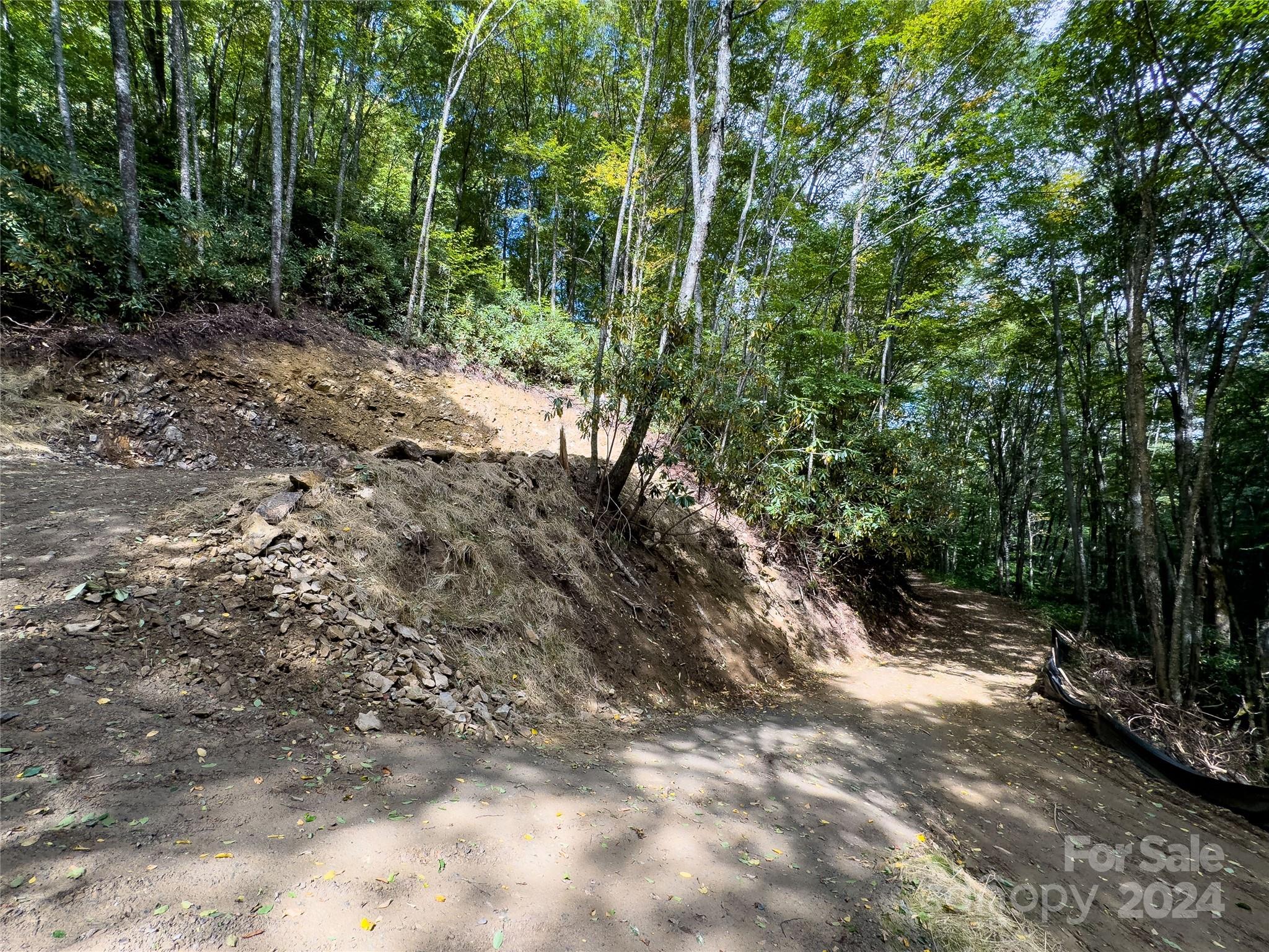 Lot 59 Black Rock Road, Unit 59 Cherokee, NC 28719 - Photo 23 of 32