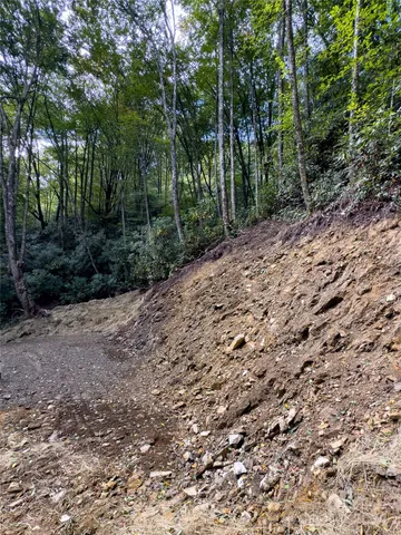 $89,500 | Lot 59 Black Rock Road, Unit 59, Cherokee, NC 28719