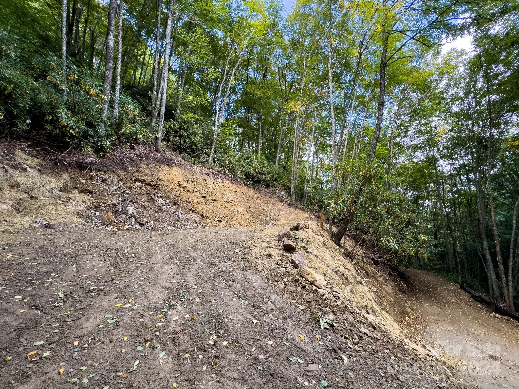 Lot 59 Black Rock Road, Unit 59 Cherokee, NC 28719 - Photo 26 of 32