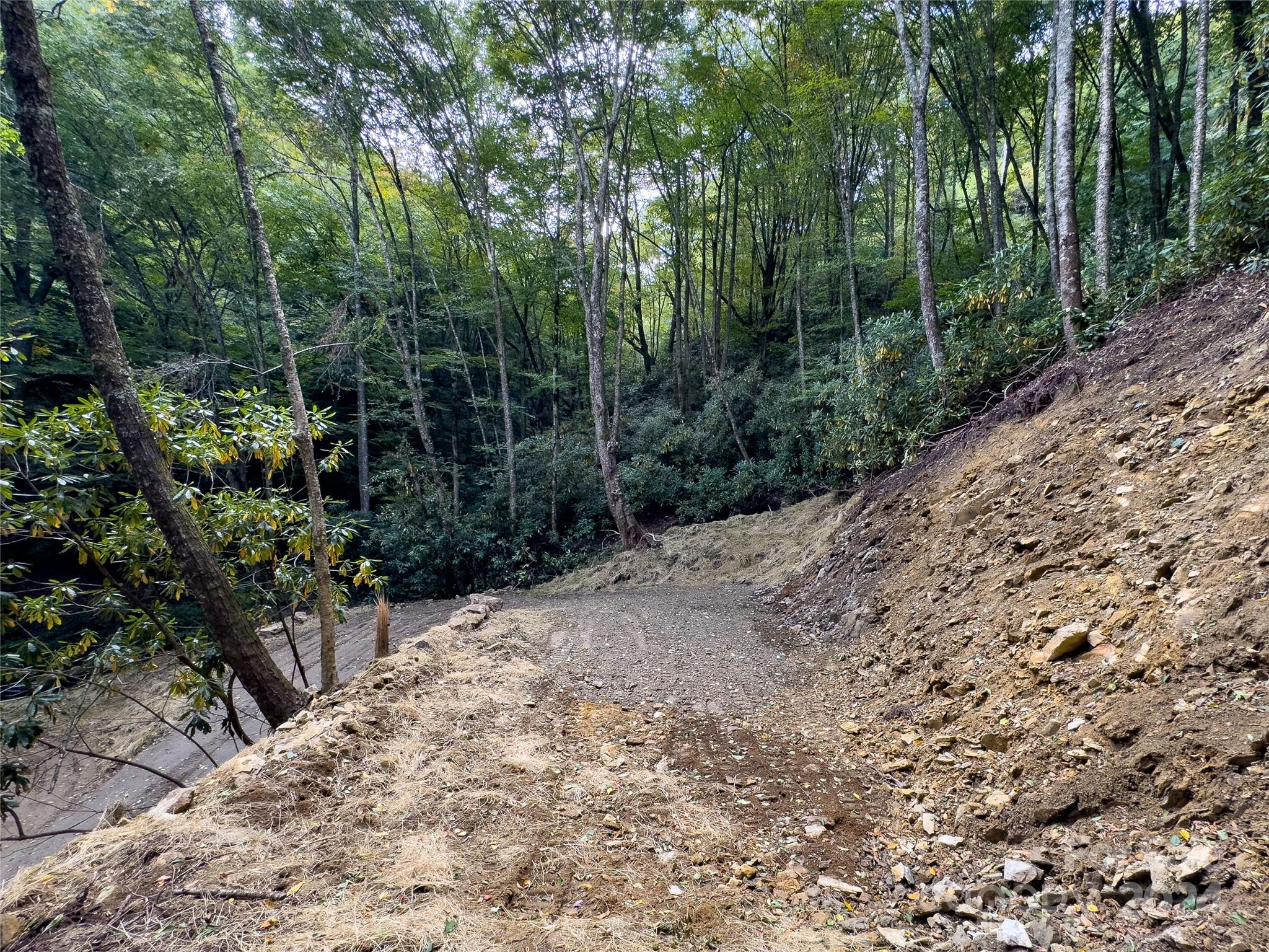 Lot 59 Black Rock Road, Unit 59 Cherokee, NC 28719 - Photo 27 of 32