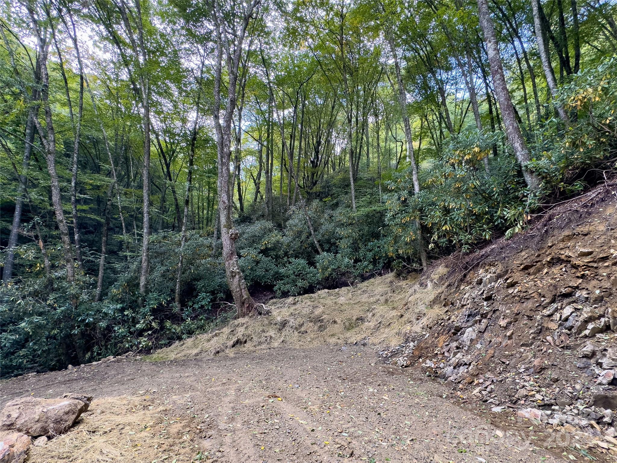 Lot 59 Black Rock Road, Unit 59 Cherokee, NC 28719 - Photo 28 of 32