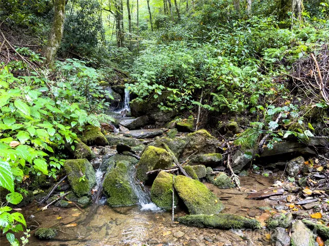 $89,500 | Lot 59 Black Rock Road, Unit 59, Cherokee, NC 28719