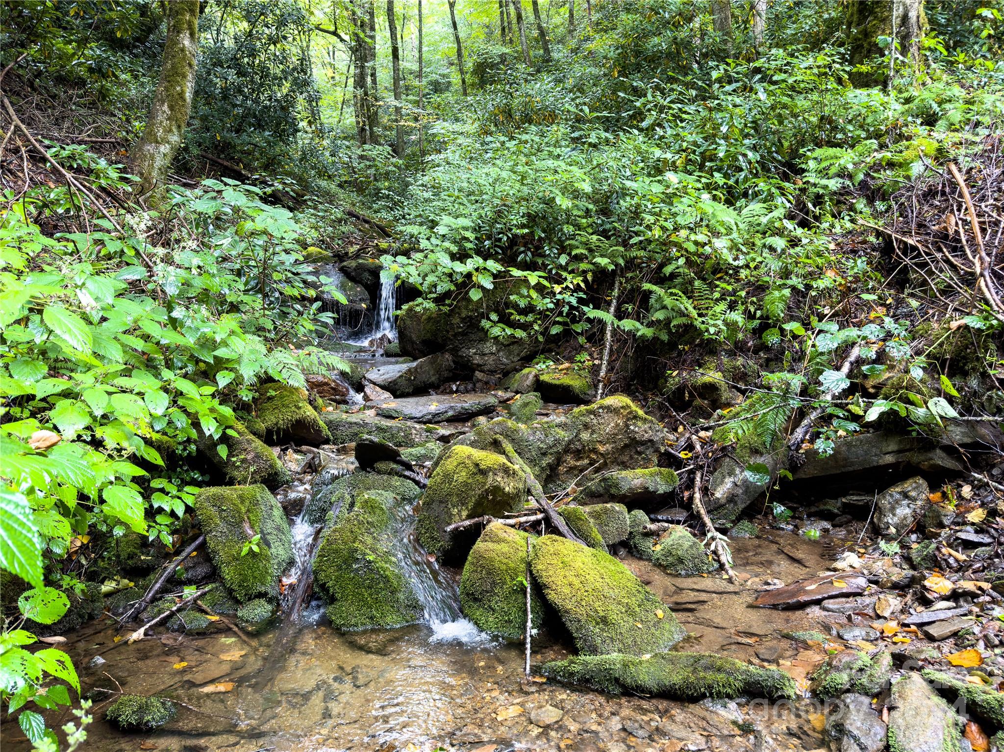 Lot 59 Black Rock Road, Unit 59 Cherokee, NC 28719 - Photo 29 of 32