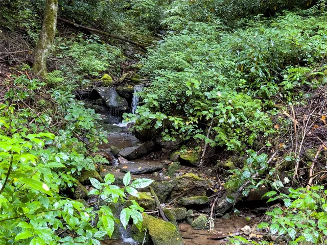 $89,500 | Lot 59 Black Rock Road, Unit 59, Cherokee, NC 28719