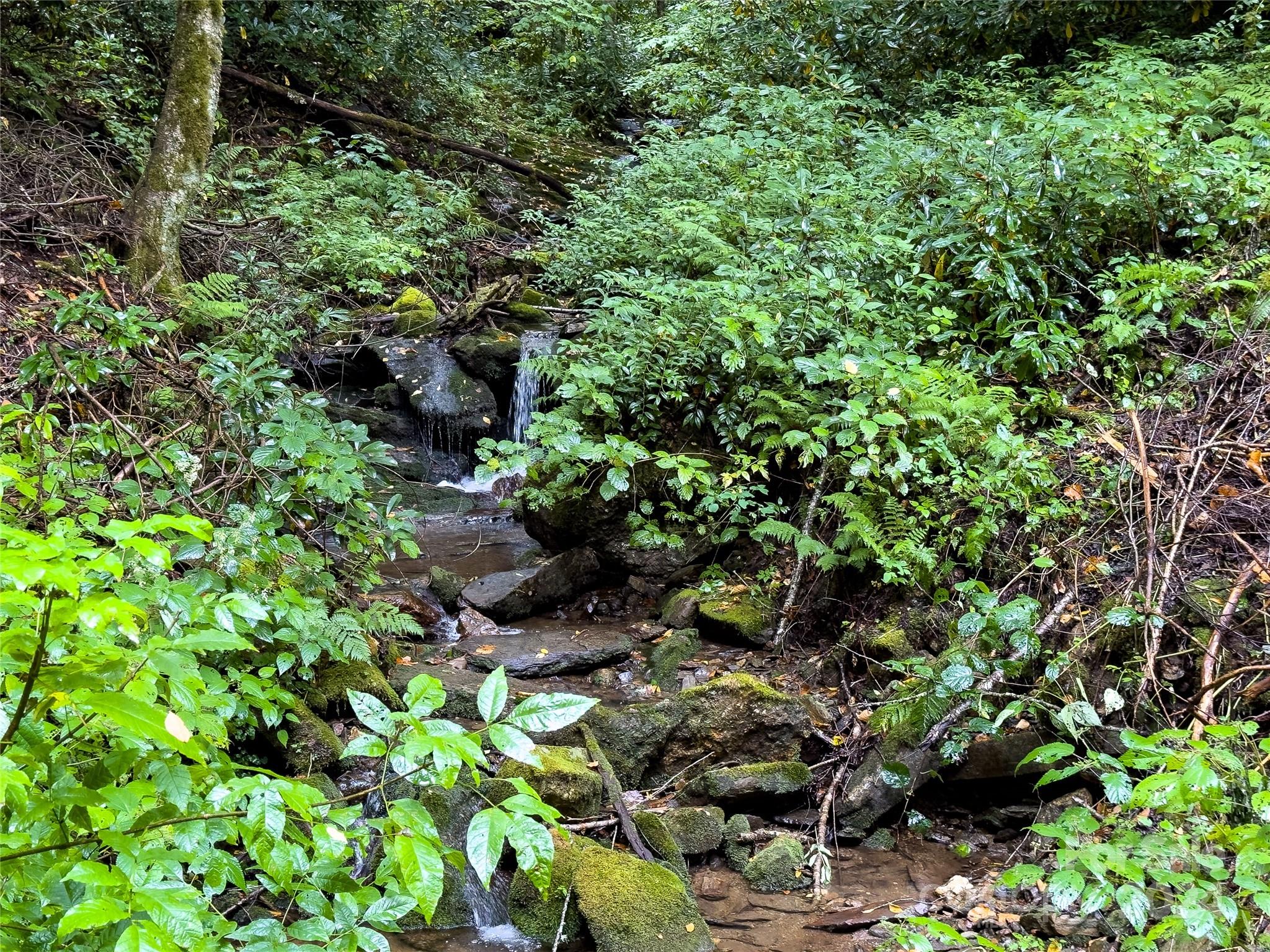 Lot 59 Black Rock Road, Unit 59 Cherokee, NC 28719 - Photo 30 of 32