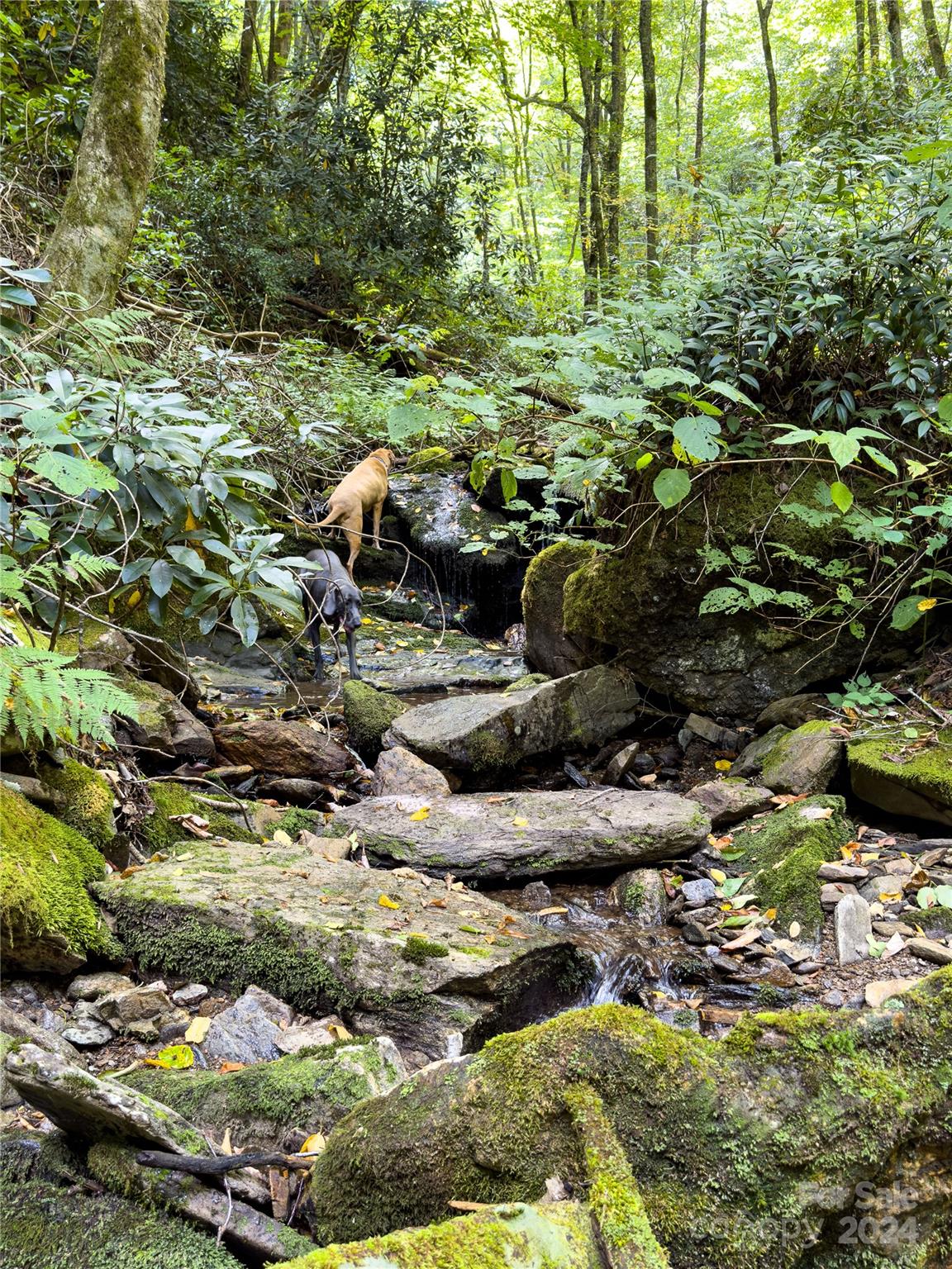 Lot 59 Black Rock Road, Unit 59 Cherokee, NC 28719 - Photo 3 of 32