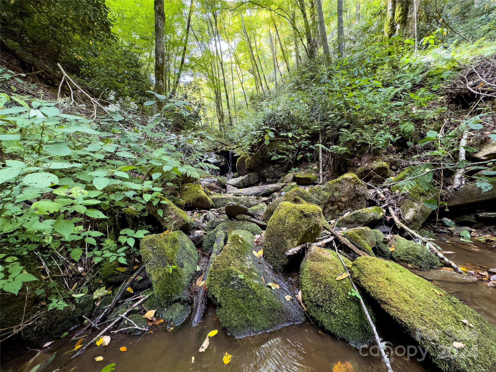 Lot 59 Black Rock Road, Unit 59 Cherokee, NC 28719 - Photo 32 of 32