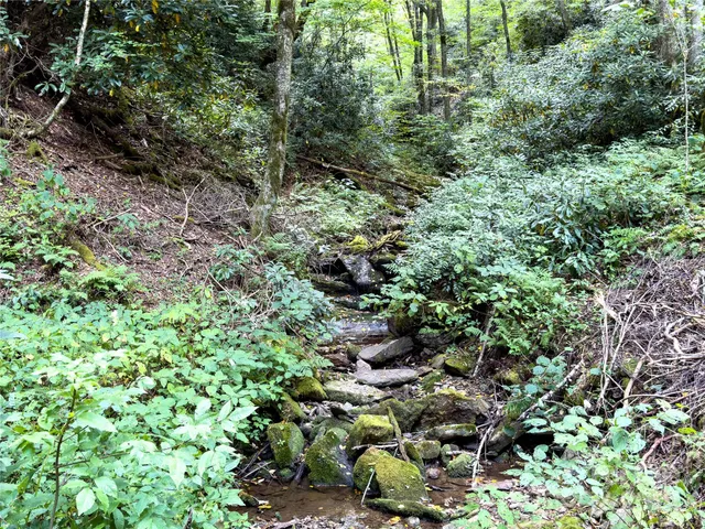 $89,500 | Lot 59 Black Rock Road, Unit 59, Cherokee, NC 28719