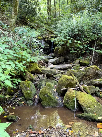 $89,500 | Lot 59 Black Rock Road, Unit 59, Cherokee, NC 28719