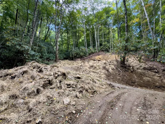 $89,500 | Lot 59 Black Rock Road, Unit 59, Cherokee, NC 28719