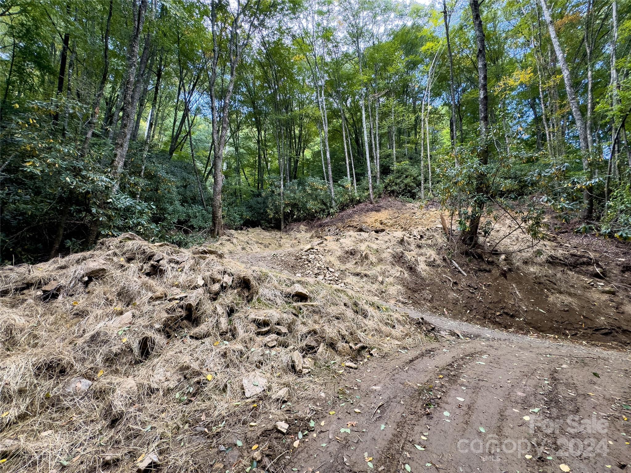 Lot 59 Black Rock Road, Unit 59 Cherokee, NC 28719 - Photo 6 of 32