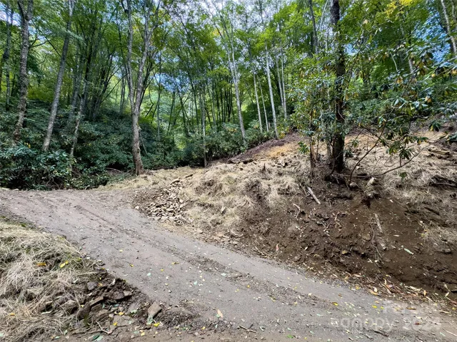 $89,500 | Lot 59 Black Rock Road, Unit 59, Cherokee, NC 28719