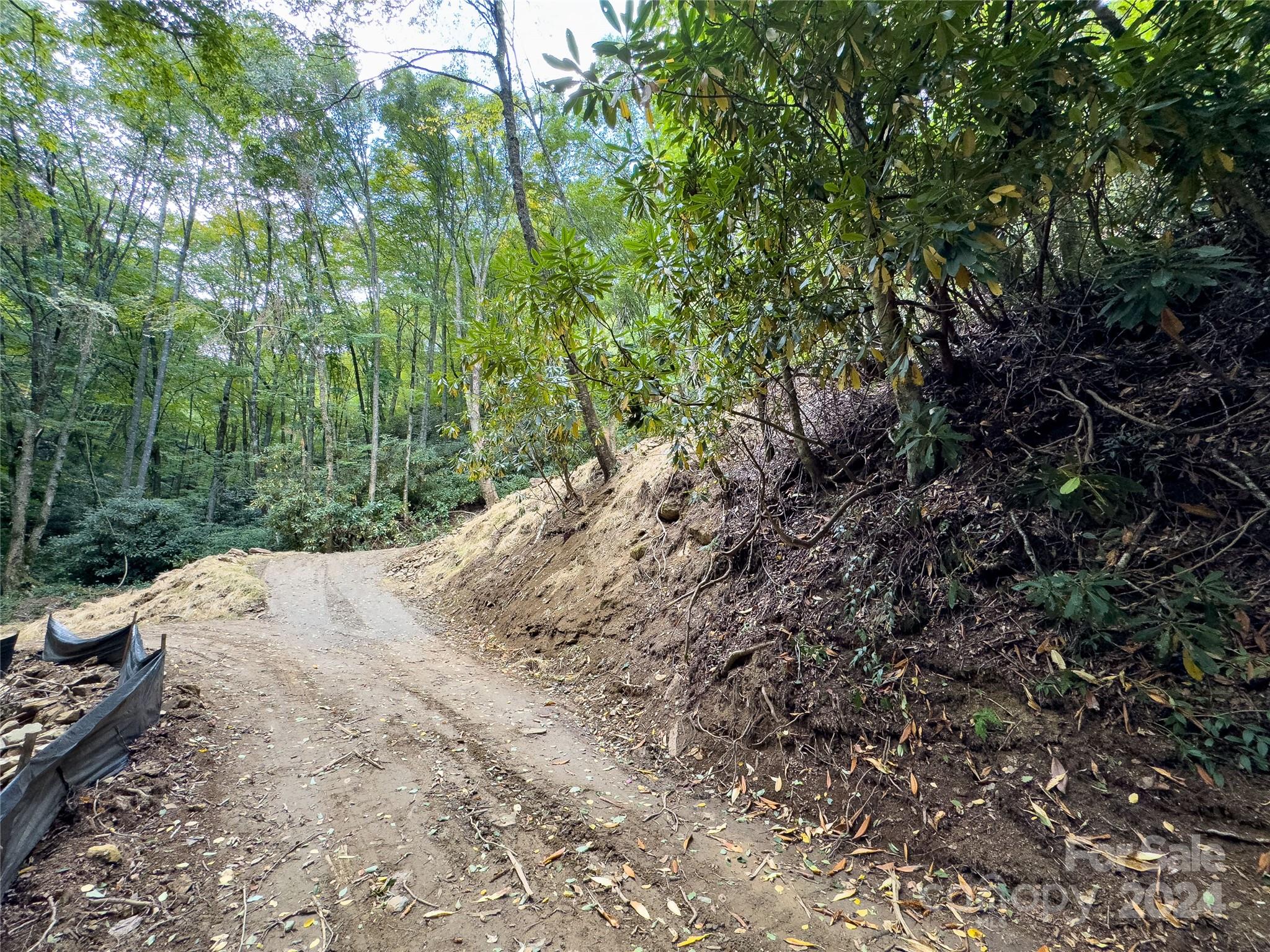 Lot 59 Black Rock Road, Unit 59 Cherokee, NC 28719 - Photo 8 of 32