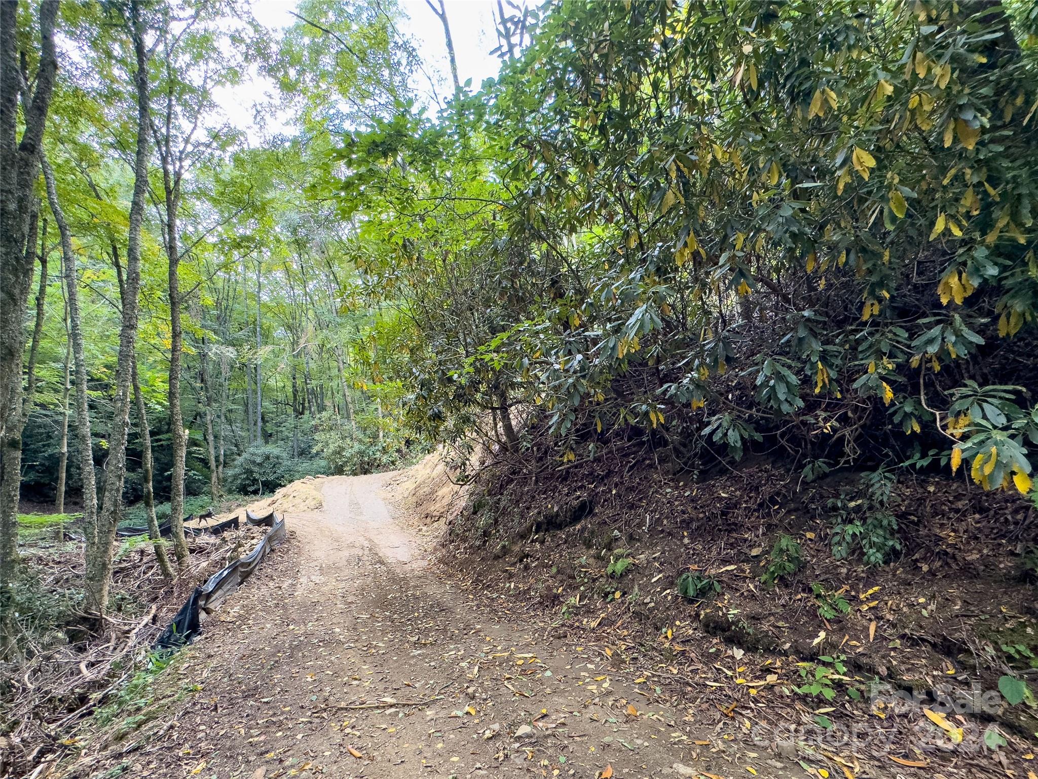 Lot 59 Black Rock Road, Unit 59 Cherokee, NC 28719 - Photo 9 of 32