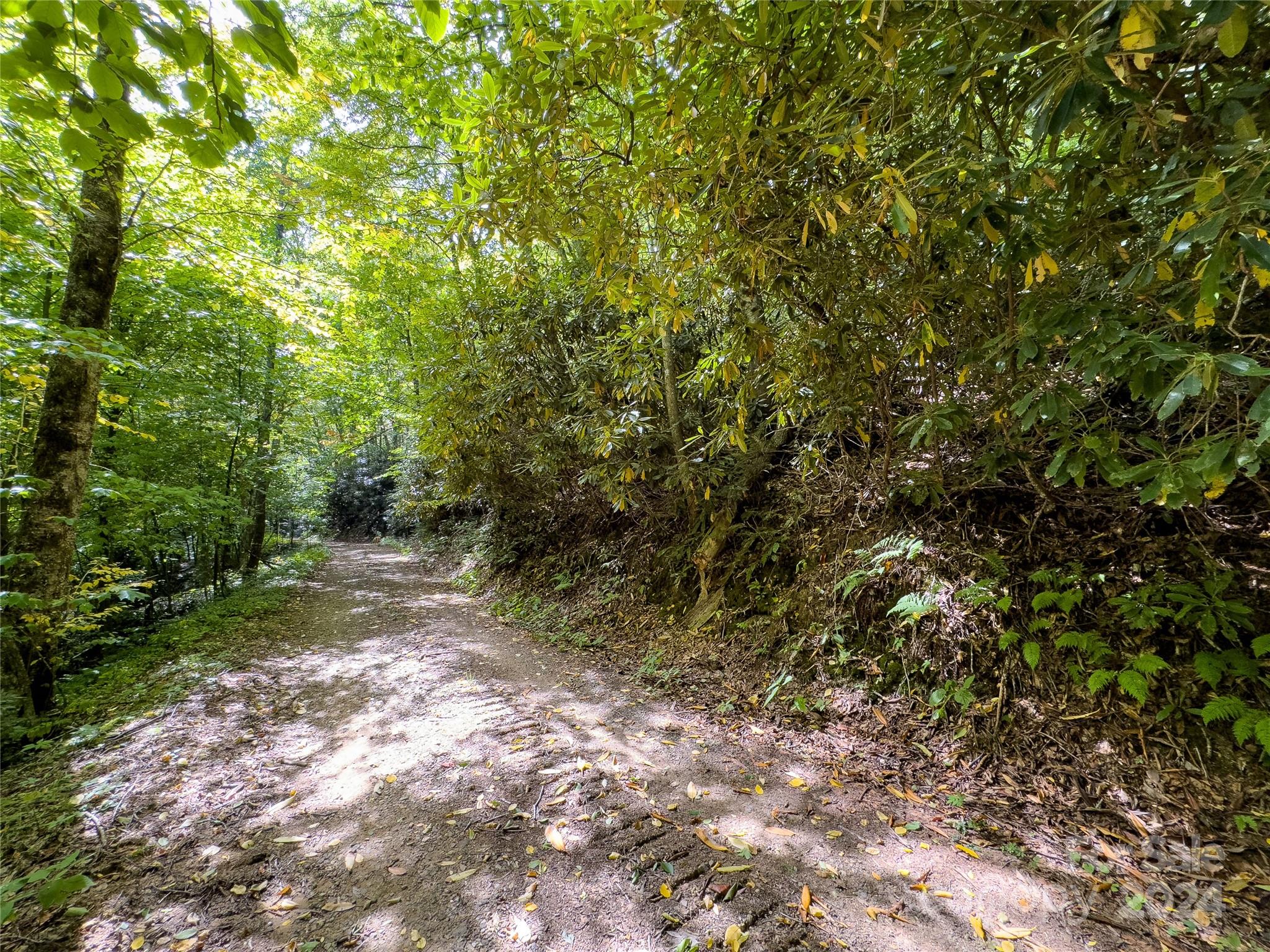 Lot 59 Black Rock Road, Unit 59 Cherokee, NC 28719 - Photo 10 of 32