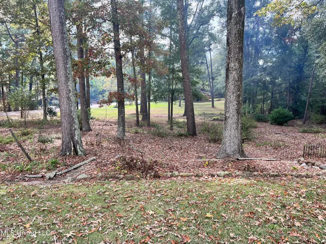 $299,900 | 103 Stanton Hall Drive, Florence, MS 39073