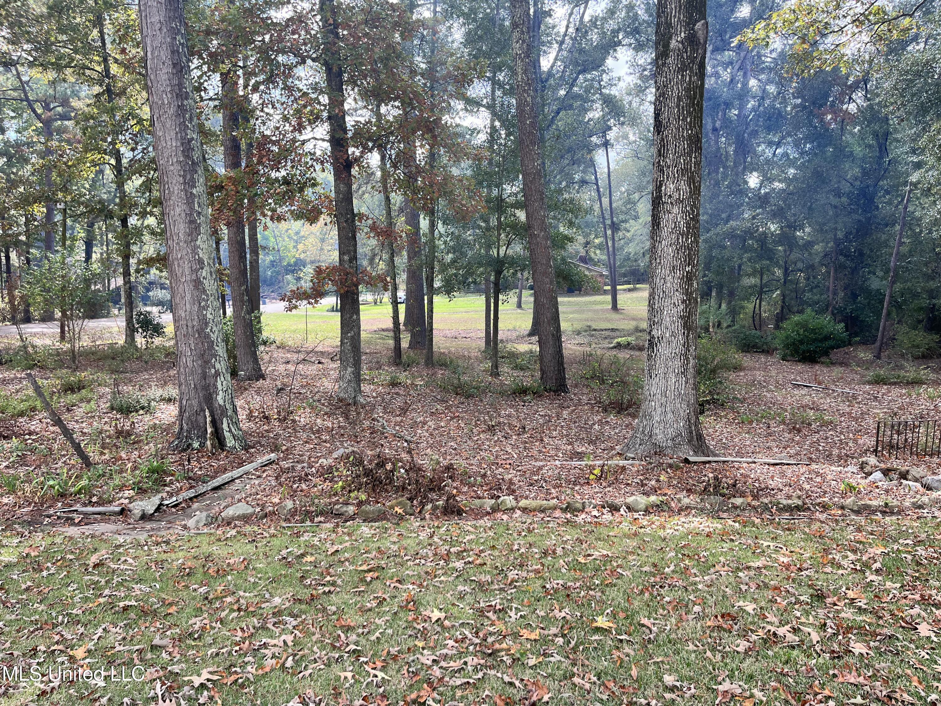 103 Stanton Hall Drive Florence, MS 39073 - Photo 4 of 52 IMG_9669