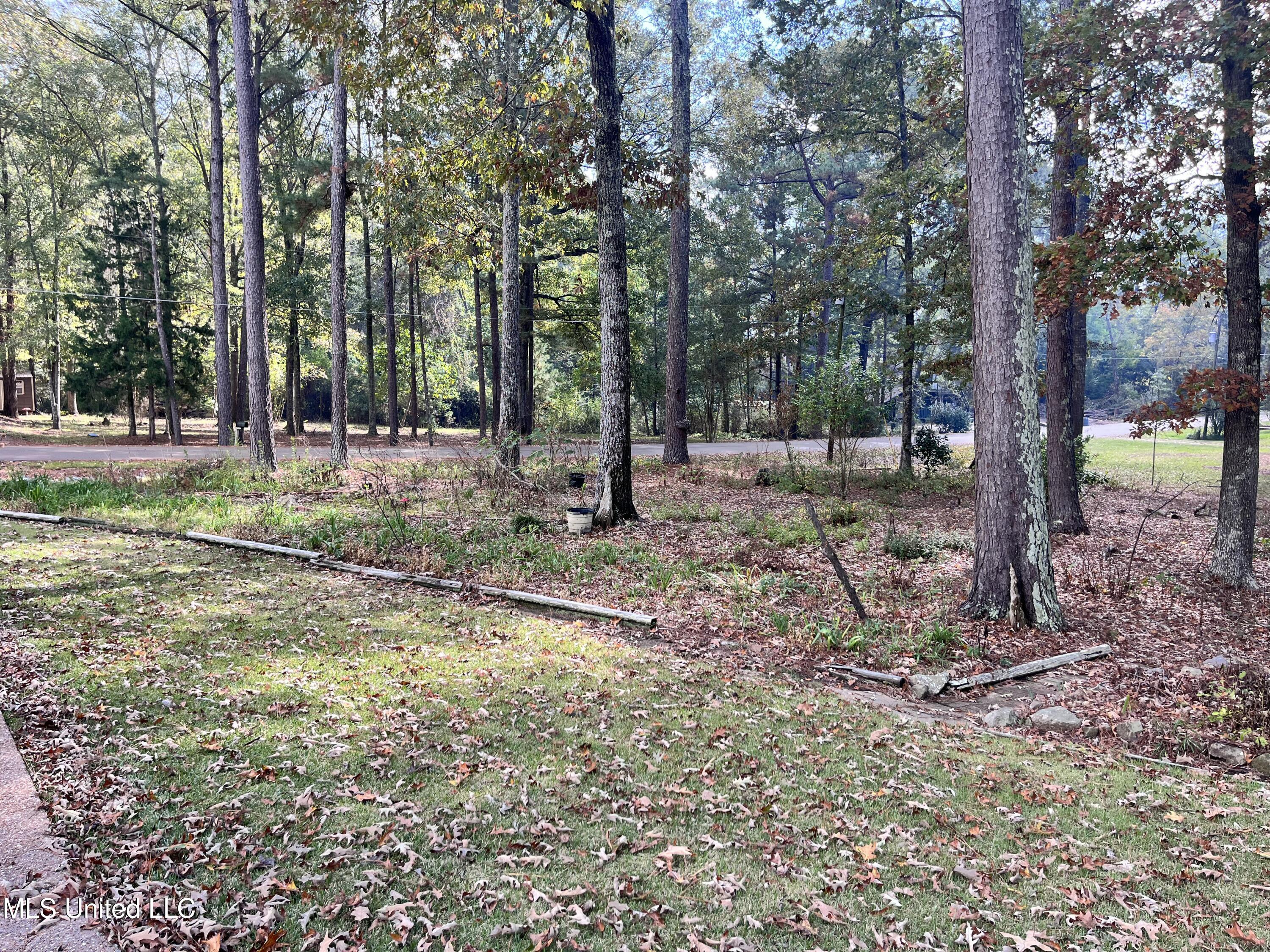 103 Stanton Hall Drive Florence, MS 39073 - Photo 5 of 52 IMG_9670