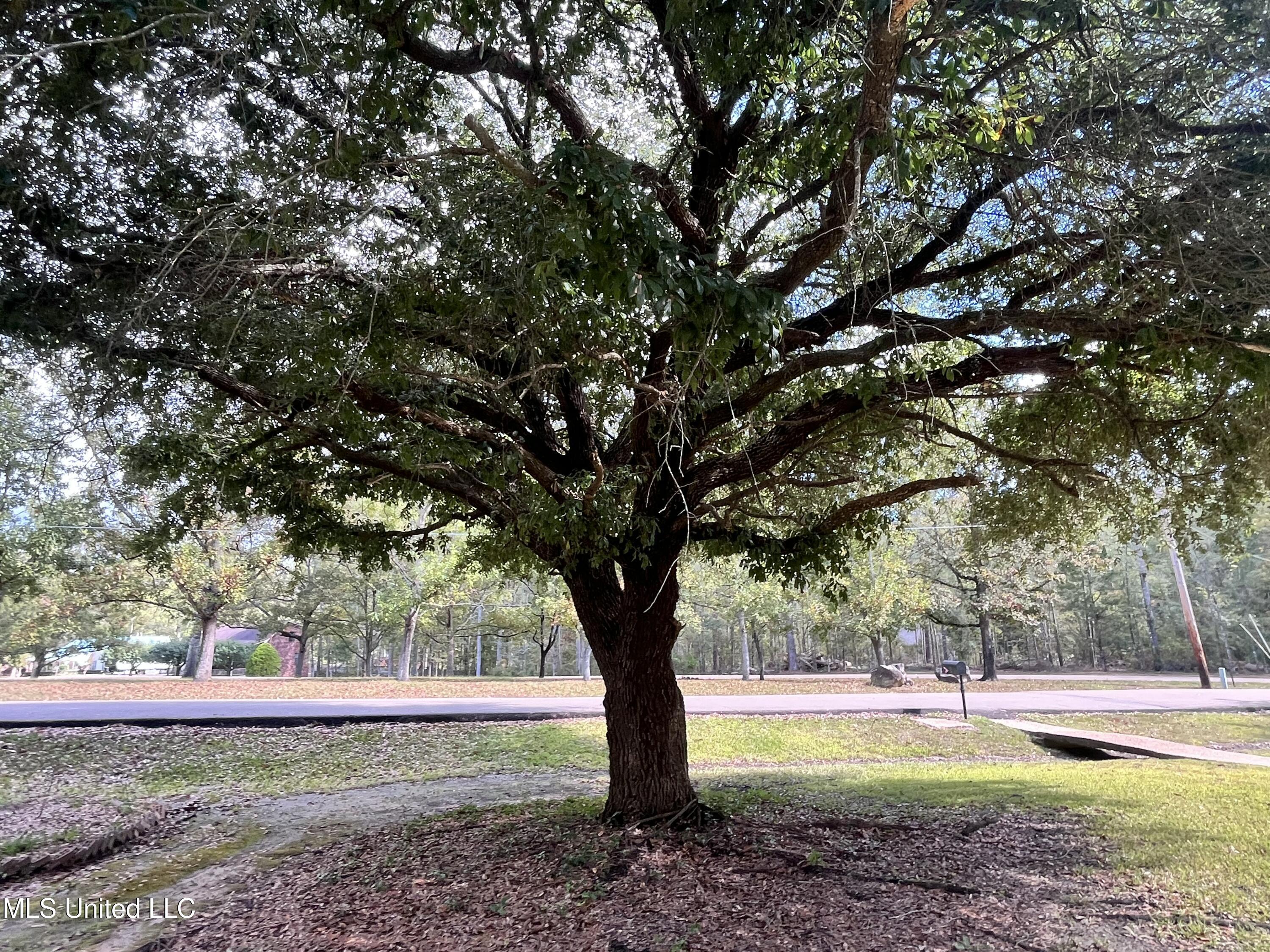 103 Stanton Hall Drive Florence, MS 39073 - Photo 8 of 52 IMG_9673
