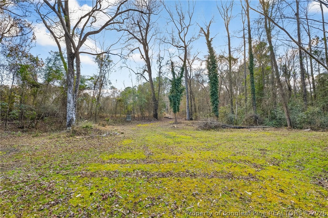 1586 Tom Starling Road Fayetteville, NC 28306 - Photo 29 of 44 a view of a yard with trees