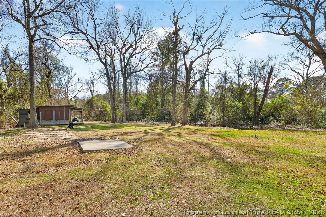 1586 Tom Starling Road Fayetteville, NC 28306 - Photo 30 of 44 a view of a yard with swimming pool