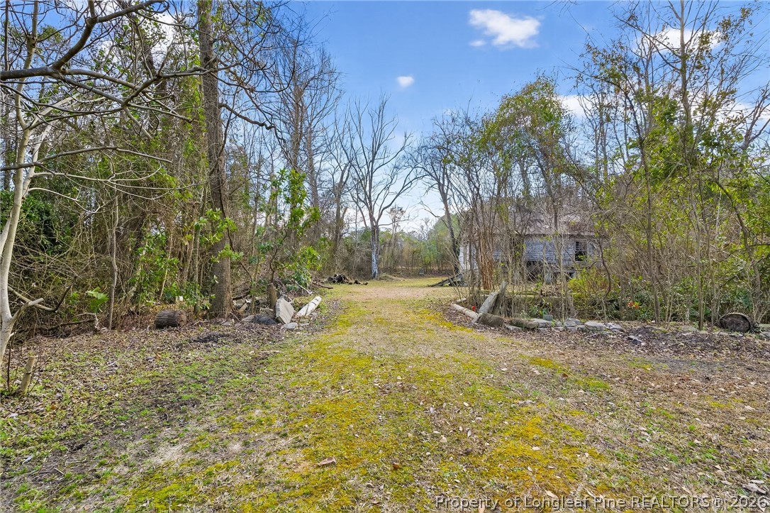 1586 Tom Starling Road Fayetteville, NC 28306 - Photo 31 of 44 a view of backyard with tree