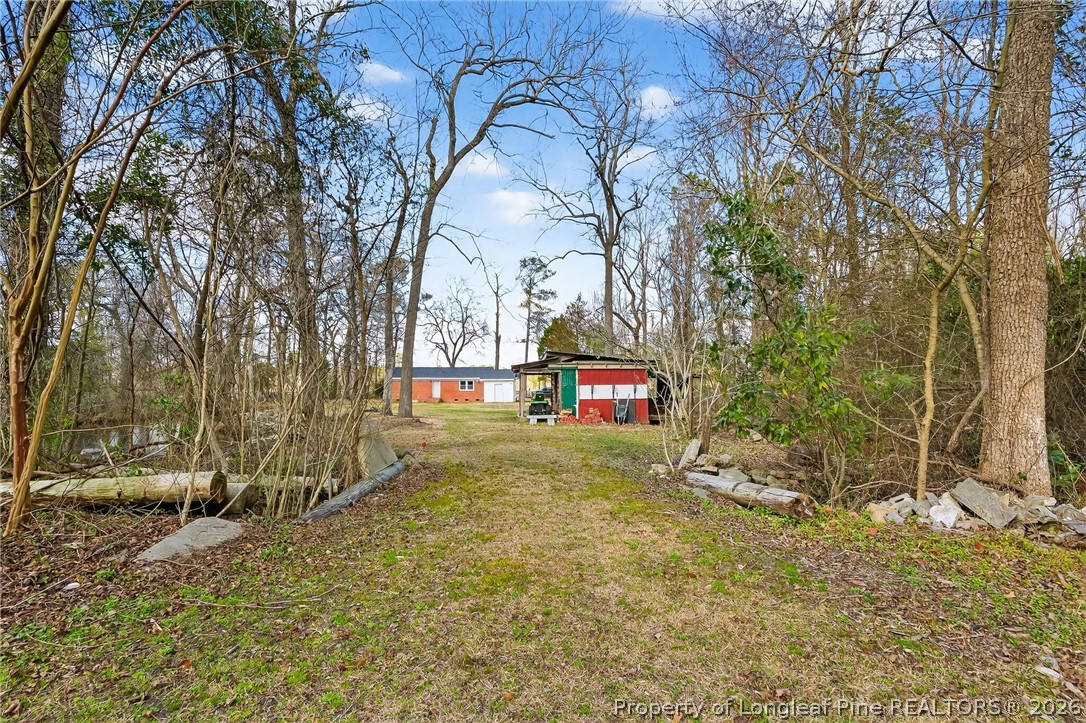 1586 Tom Starling Road Fayetteville, NC 28306 - Photo 34 of 44 a backyard of a house with lots of green space