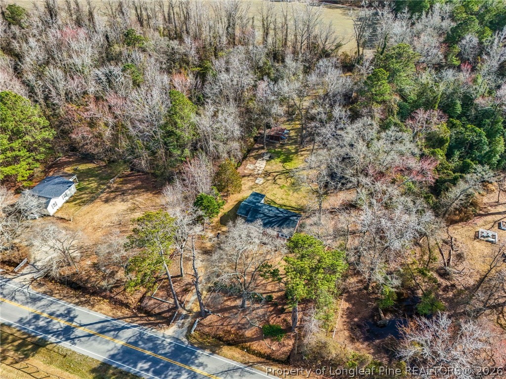 1586 Tom Starling Road Fayetteville, NC 28306 - Photo 38 of 44 a plant that is in a yard