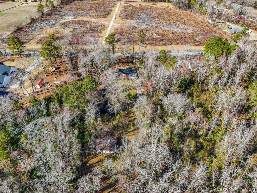 1586 Tom Starling Road Fayetteville, NC 28306 - Photo 40 of 44 a view of a yard with trees