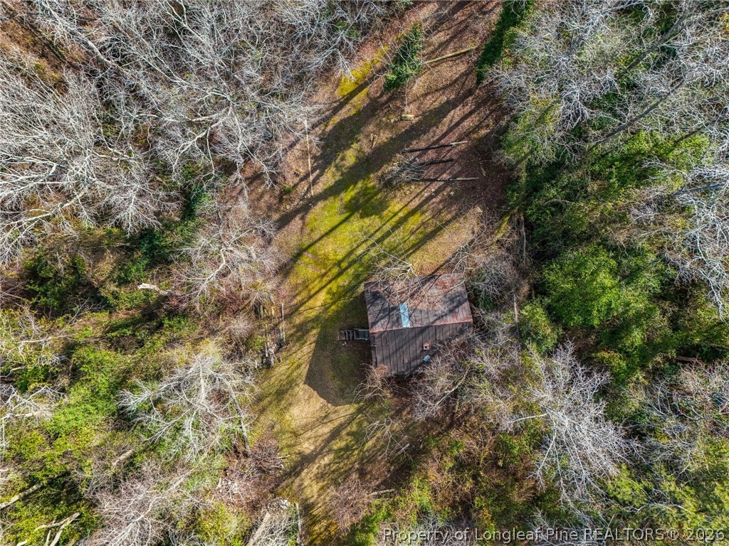 1586 Tom Starling Road Fayetteville, NC 28306 - Photo 41 of 44 a view of a yard with a tree
